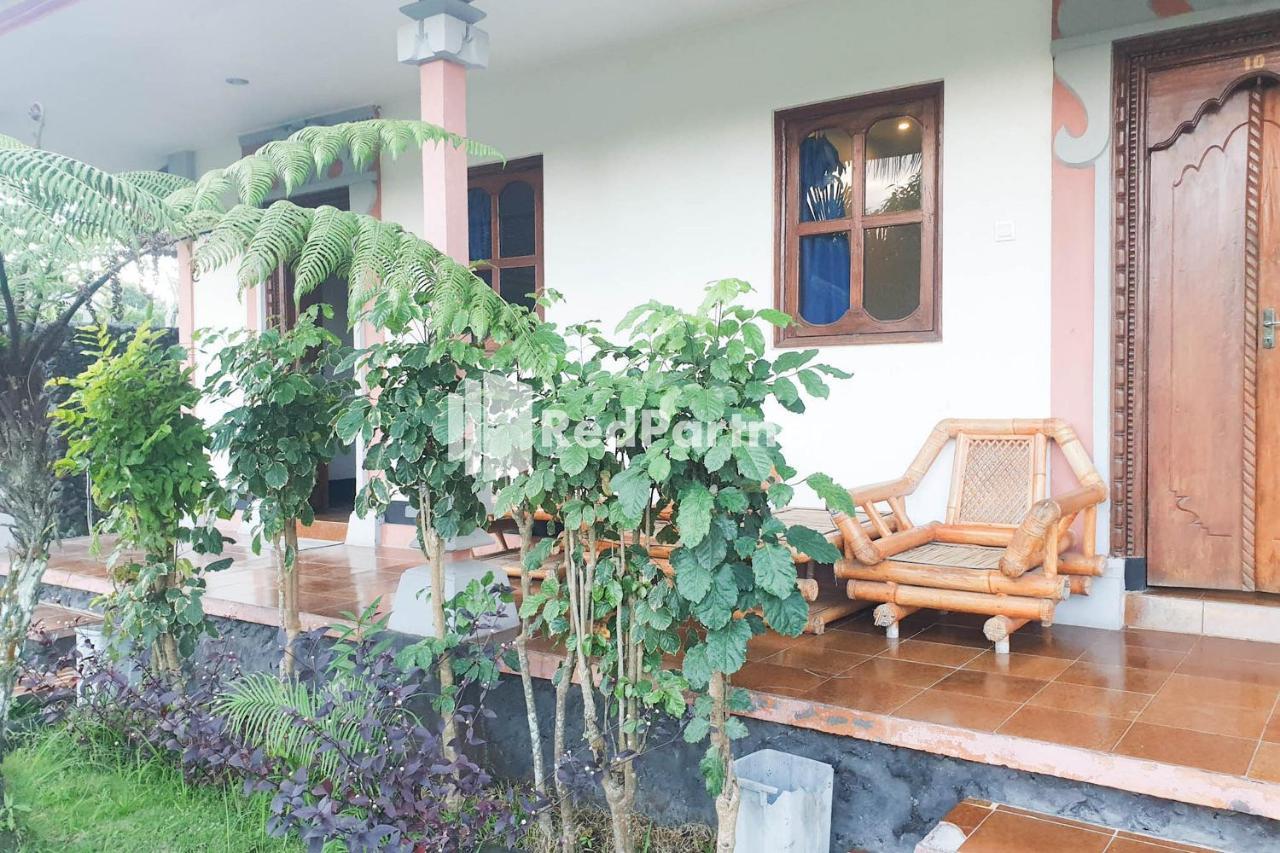 Arlina'S Guest House Kintamani Redpartner Buitenkant foto